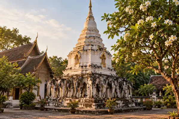 White chedi held up by rows of stone elephants beside a frangipani tree