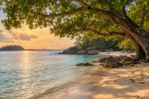 Quiet Dongtan Beach with big shade trees and calm shallow water in late afternoon light