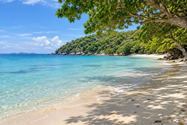 Quiet Ta Yai Beach on Koh Larn with soft sand, shade trees and calm shallow water